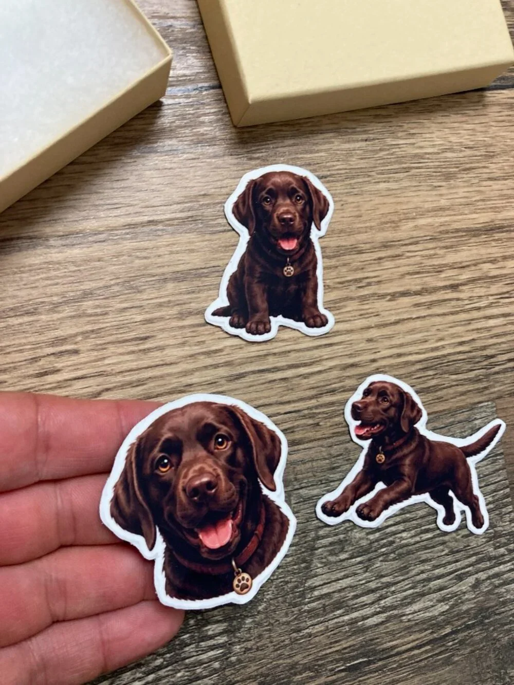 3 Chocolate Labrador Retriever Dog Magnets Puppy Fridge Refrigerator Decor Gift